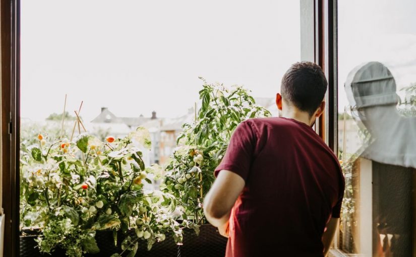 Huertos urbanos o tomateras en el balcón: ¿puedo comer lo que planto sin miedo a la contaminación?