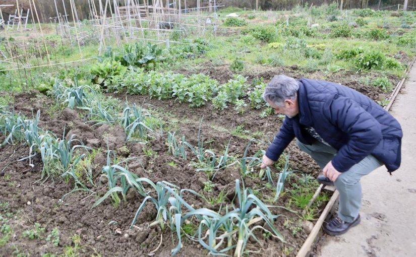 Salburua tendrá 73 nuevos huertos comunitarios
